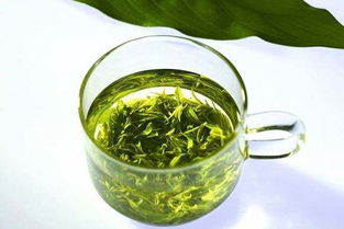 绿茶健康功效的科学研究