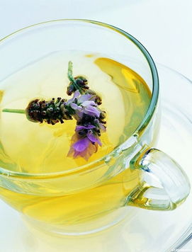 茶与花草搭配的养生效果研究