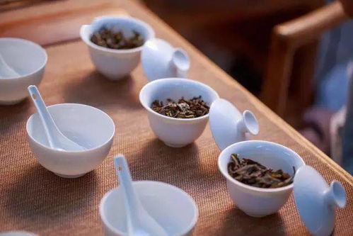 乌龙茶的种类主分为四类