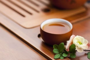 中国各地区的茶文化